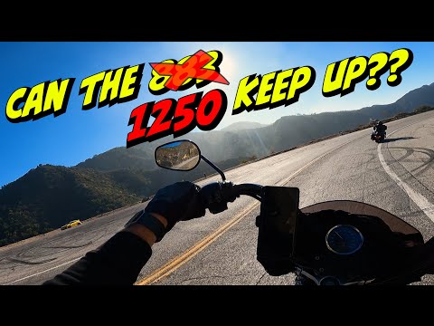 Can the new 1250 Sportster keep up with the big twins?!