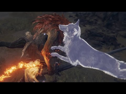 Elden Ring: Leonine Misbegotten Speedrun