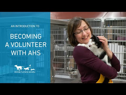 An introduction to volunteering at Animal Humane Society