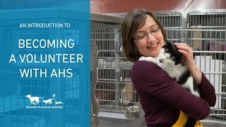 Volunteering at an Animal Shelter
