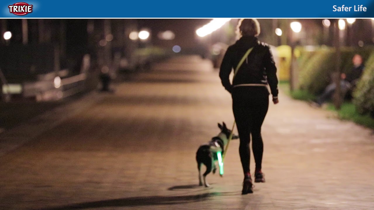 Trixie Leuchtring Safer Life L-XL grün Trixie Leuchtring Safer Life L-XL grün