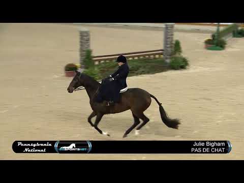 PNHS 2018 Ladies Side Saddle Over Fences