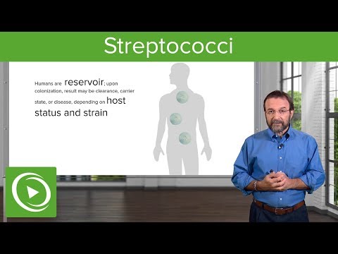 streptococcus fájó ízületek)