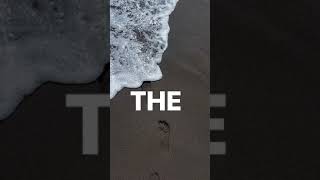 Download lagu The Spirit Carries On - Dream Theater 🔥 #shorts mp3 Download lagu The Spirit Carries On - Dream Theater 🔥 #shorts mp3