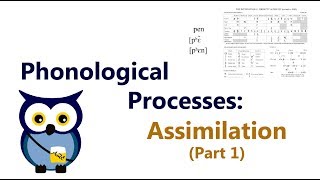 Phonological Processes: Assimilation (Part 1)