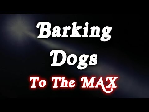 ▶️ Barking Dogs To The Max! Barking Dogs Sounds. Dogs Barking Noises. 12 Hours. 🌏