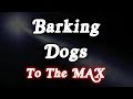 ▶️ Barking Dogs To The Max! Barking Dogs Sounds. Dogs Barking Noises. 12 Hours. 🌏