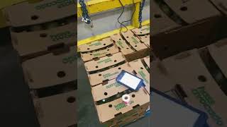 unloading produce yourself or paying a lumper