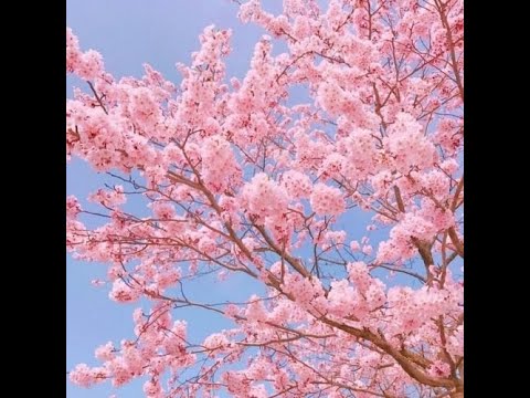 [FREE] Club Banger Type Beat 2021 - "Spring" | Free Type Beat | Trap/Rap Instrumental 2021