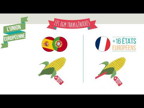 OGM : état des lieux