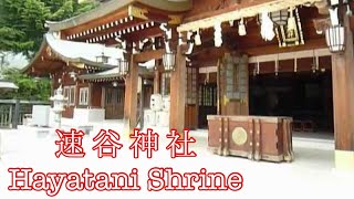 preview picture of video 'The main hall is traditional structure. Hayatani shinto shrine(速谷神社) Part4 - Hiroshima,Japan'