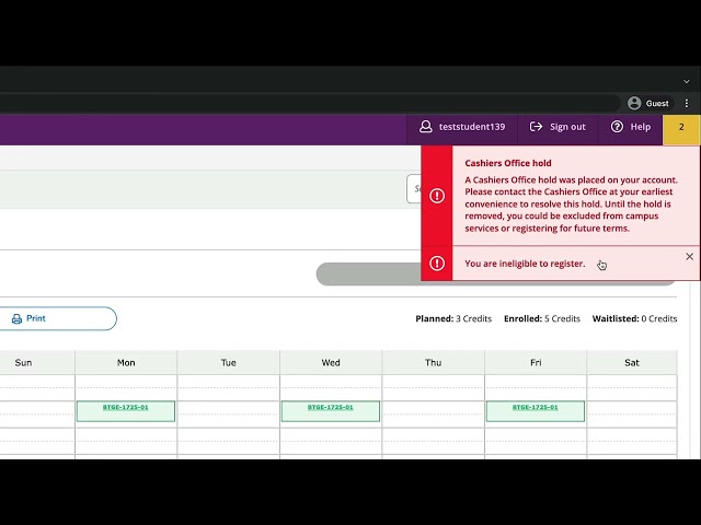 Thumbnail for video titled: Course Registration Overview