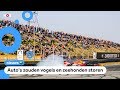 Gedoe over Formule 1-teams op het strand