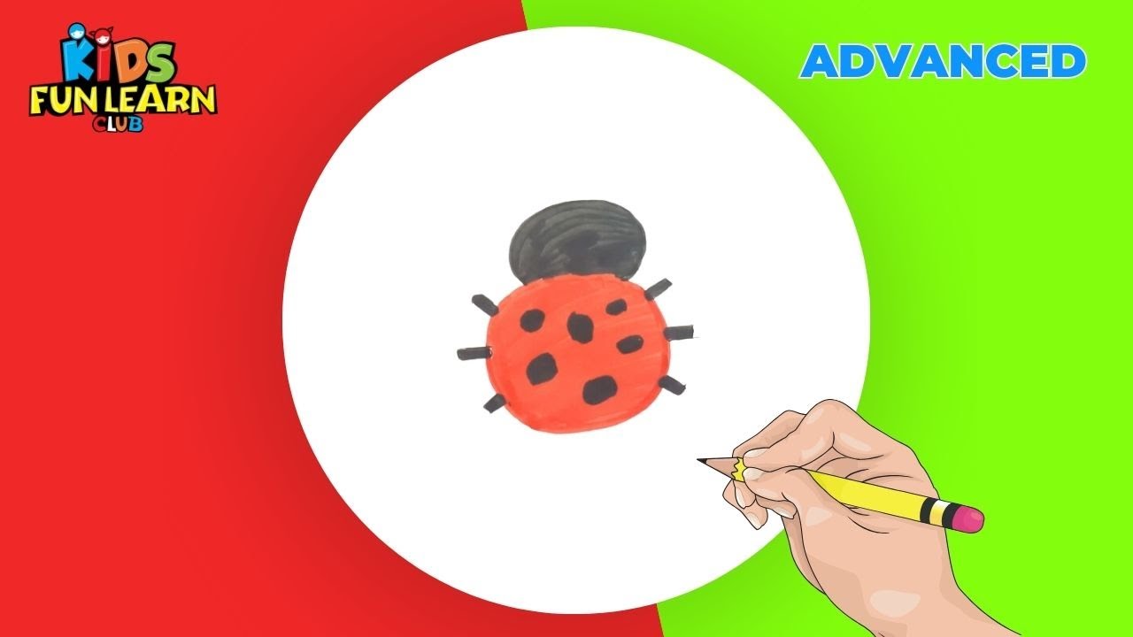 Draw a Lady Bug