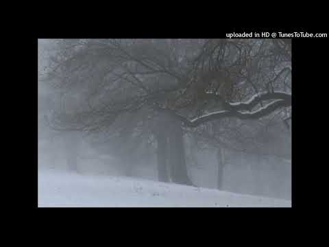 “snow day” kodyak x bones lame type beat