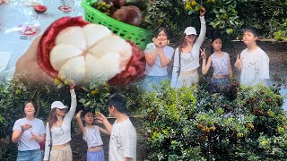 Download the video "Went to the Farm #fruitfarm #vietnamtravel"