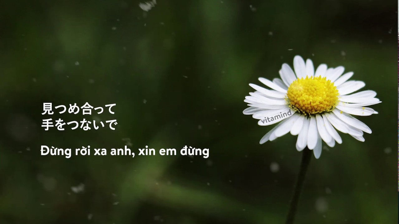 君じゃなきゃ//KG&安田奈央//vitamind//vietsub