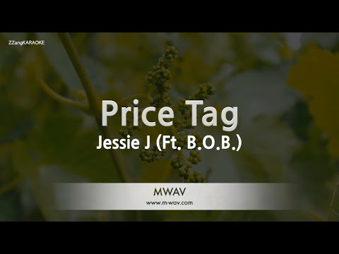 Jessie J-Price Tag (Ft. B.O.B.) (Karaoke Version)