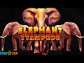 Elephant Stampede Lottostar