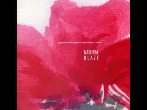 A FLG Maurepas upload - Blaze Production presents James Toney Jr. Project - Afro-Groove