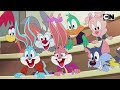 Cartoon Network Japan Tiny Toons Looniversity CM