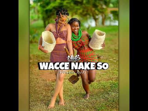 WACCE NAKE SO (Zuk Ma Remix) 2025 🇸🇧
