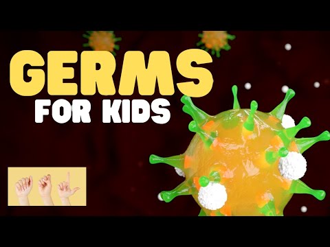 Asl Germs For Kids
