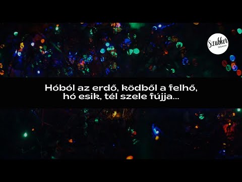 Hóból az erdő covered by SzabkerDebrecen