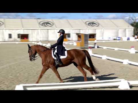 Drezurní úloha vY/2022 – 3. kolo Finále ČP v drezuře kategorie U25 – Olomouc, 29. 9. 2024