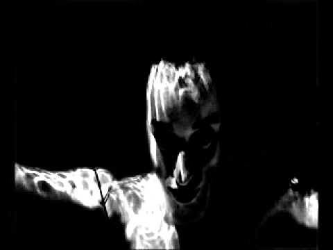 Tamers of Flowers - Proměny