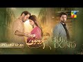 Hum Dono 2nd Last Episode 30 CC 11th Feb 2025 Kinza Hashmi Azaan Sami HUM TV
