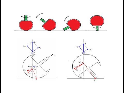 Explanation of the Tippe Top Motion