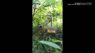 Download lagu Taimong murai buluh Perlis, mp3 Download lagu Taimong murai buluh Perlis, mp3