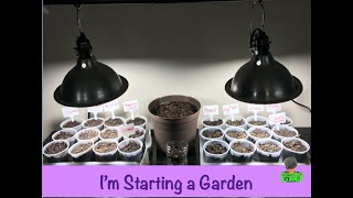 Iβm Starting a Garden ||  Home Gardening Ep. 1 || Steffanie's Journey