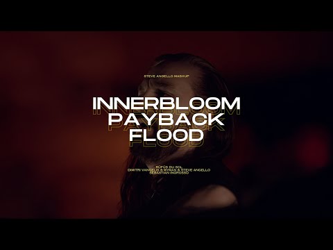 Innerbloom / Payback / Flood (Steve Angello Mashup)