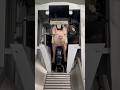 Inside a Slaughterhouse: The Final Walk