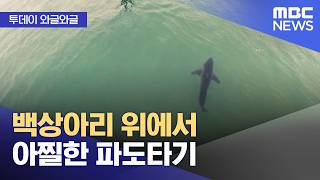 [와글와글] 백상아리 위에서 아찔한 파도타기 (2026.04.22/뉴스투데이/MBC)