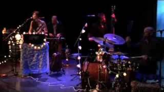 Lisa Hannigan splishy splashy tralee live