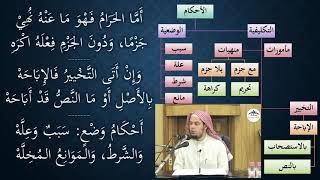 04شرح النظم الصغير في أصول الفقه - نظم وشرح/ عامر بهجت image