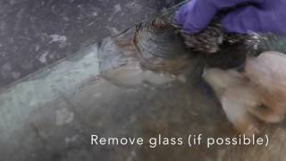 Cleaning Ovens - without nasty toxic chemicals