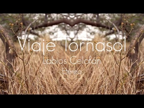 Labios Celofán - Viaje Tornasol [Official Music Video]