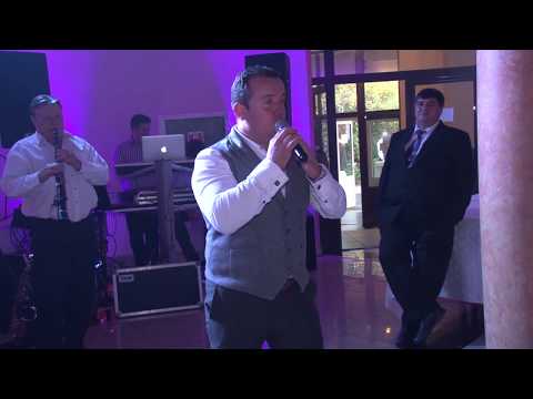 Catalin Nistor live nunta