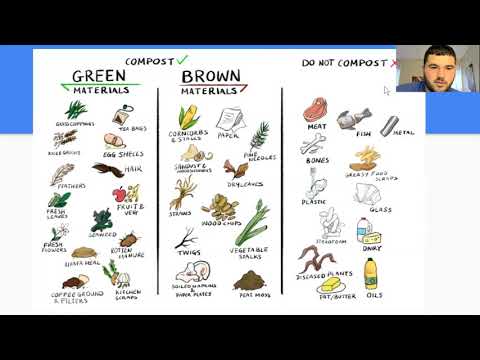 KINE 354: Elementary Lesson Plan Video Day 4