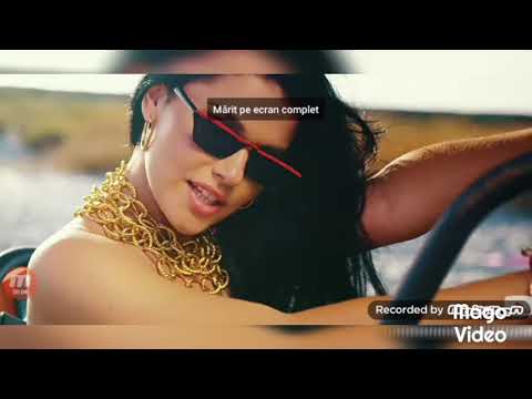 Culita Sterp 🌎 Cristina Popa ❤️ Bogdan Mocanu🔥 - Te iubesc la nebunie (Versuri)