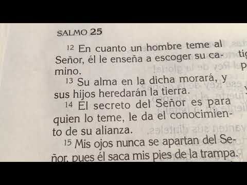 Salmo 25 lectura , de la Santa Biblia Católica