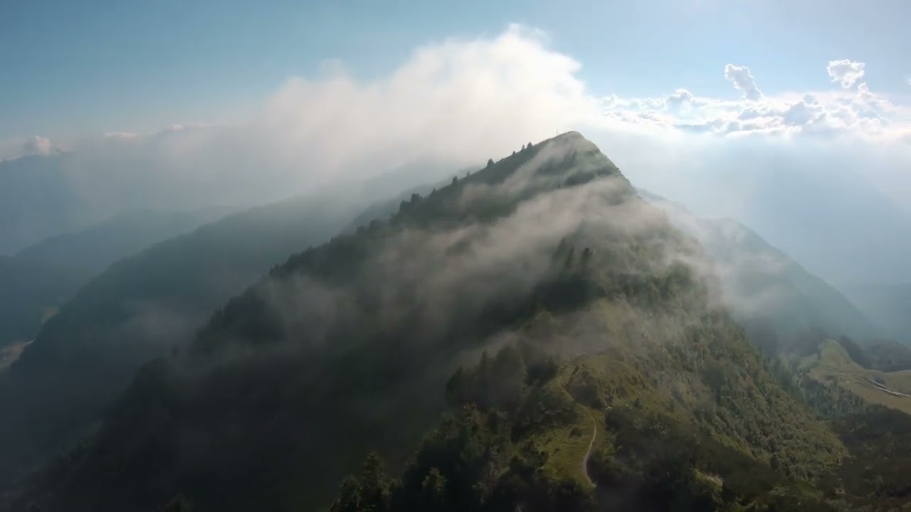 Healing Harmony　@recordsjp