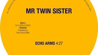Mr Twin Sister - Echo Arms