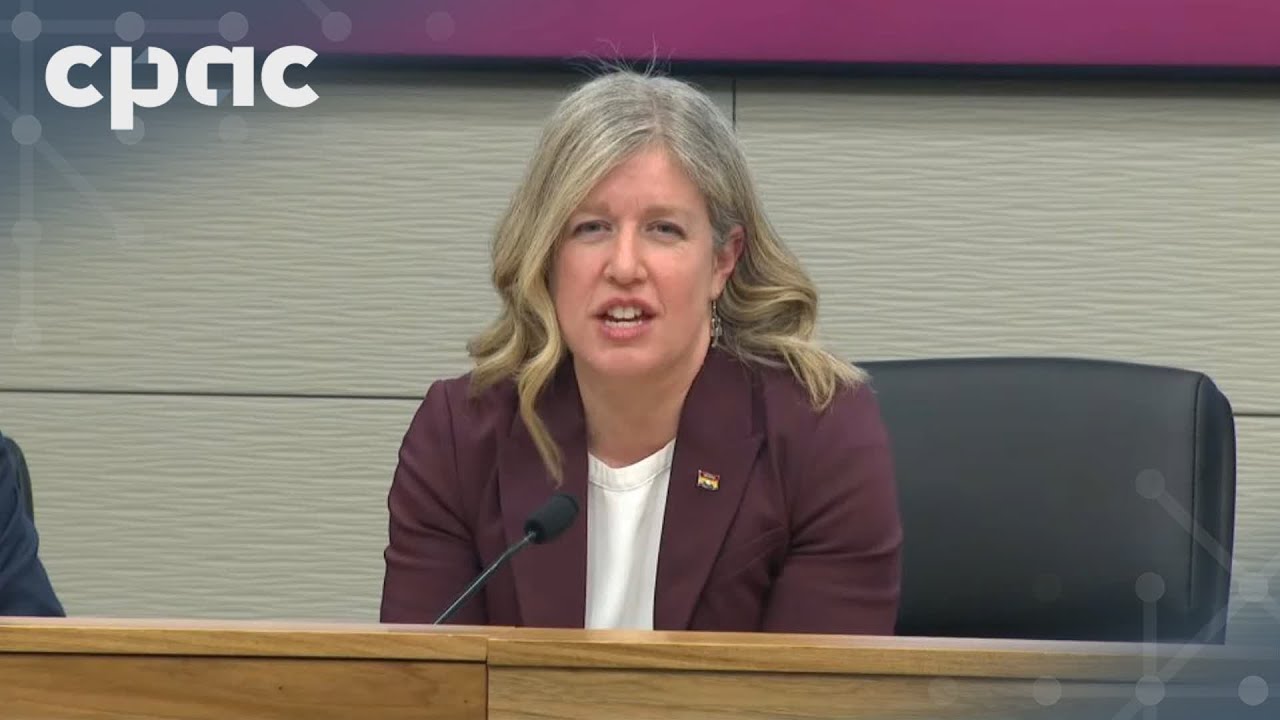 New Brunswick Premier Susan Holt announces tariff response plan – March 4, 2025
