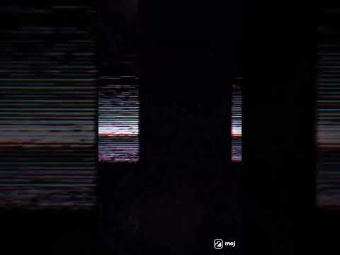 d #plant #standing #flashphotography #woodyplant #plantbasedkids..ad by Inflact Hashtags Generator