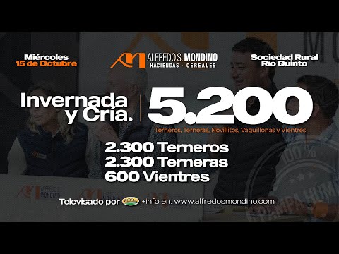 🔴EN VIVO | INV. y CRÍA desde Villa Mercedes, San Luis | Alfredo S. Mondino, 15-10-25🔴